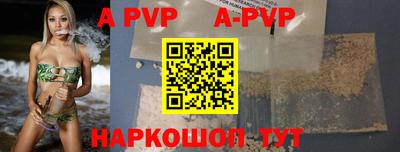 ешки Кингисепп