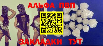 ешки Кингисепп