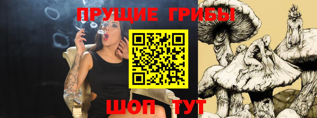 Щёлково  Галлюциногенные грибы ЛСД  Вход с VPN 